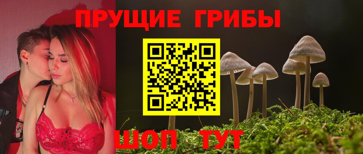 Галлюциногенные грибы прущие грибы Новокуйбышевск